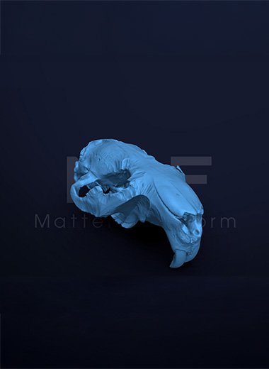 3Dスキャンしてデジタルアーカイブ化